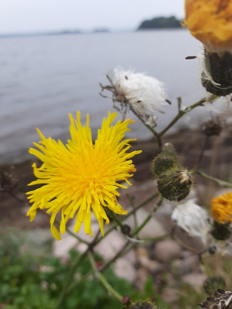 Herbstfreuden