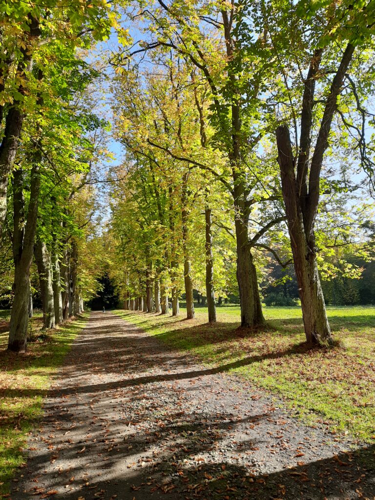 Kastanien Allee