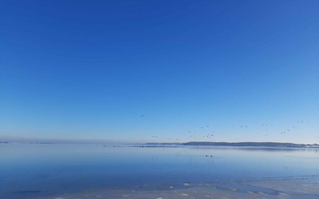 Den Blick weiten