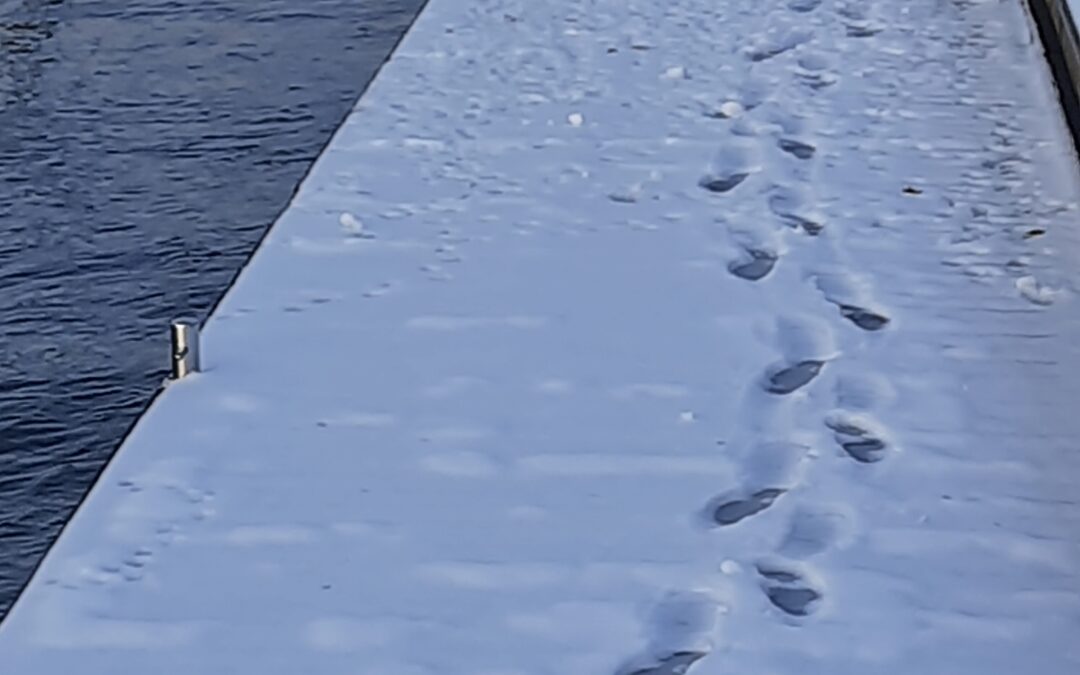 Friedvoll gehen – Gesegnete Weihnachten 2025